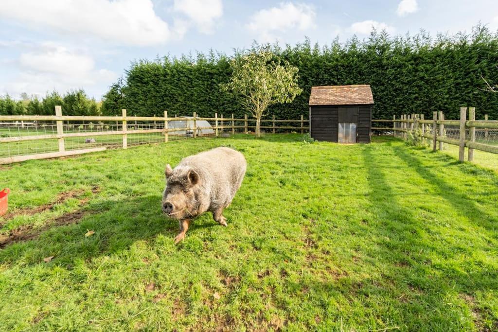 Willow Cottage In Idyllic Location Harrietsham Luaran gambar