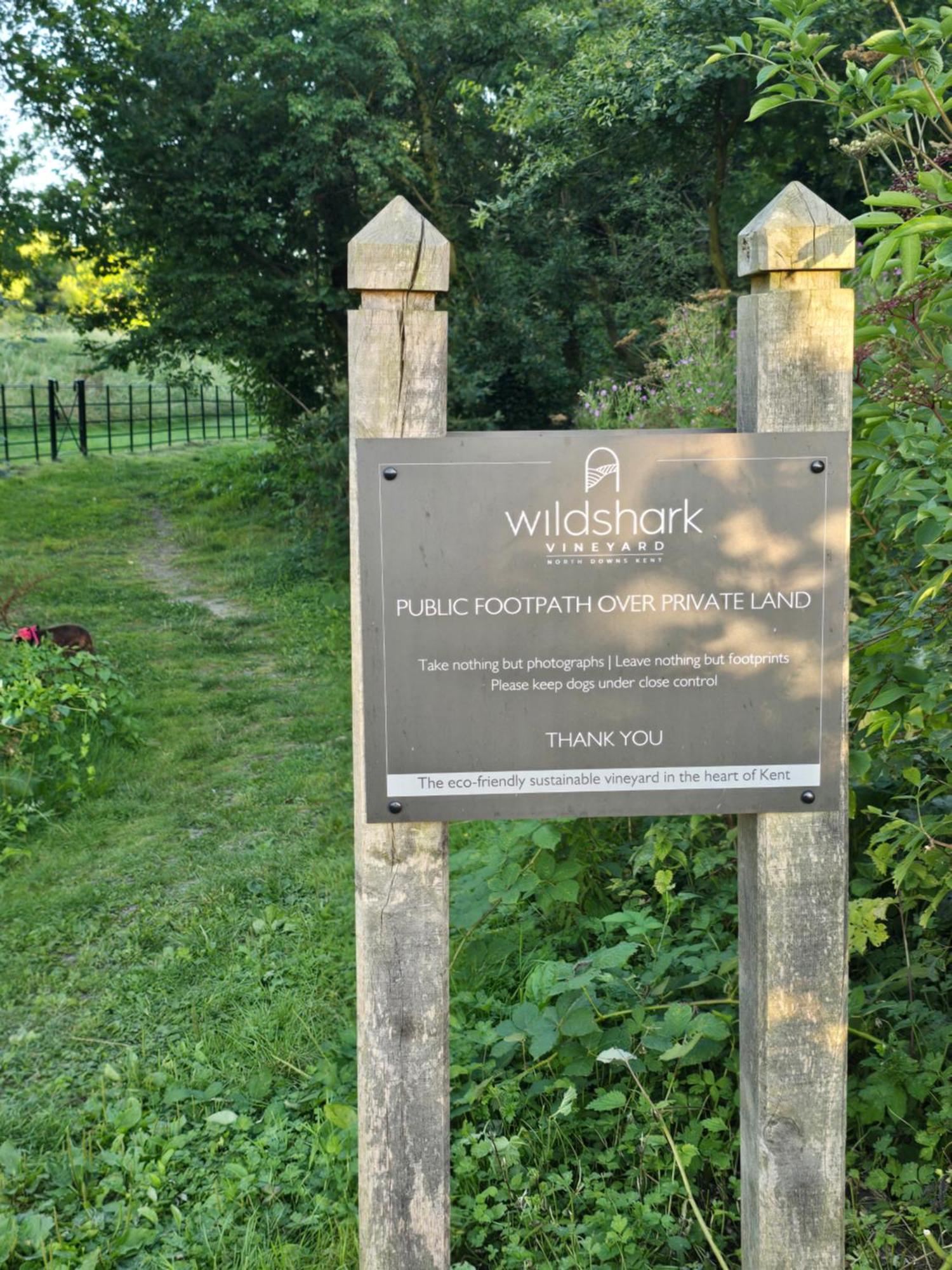 Willow Cottage In Idyllic Location Harrietsham Luaran gambar